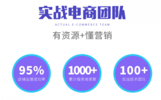 电子商务网站运营方案，电子商务网站运营方案怎么写