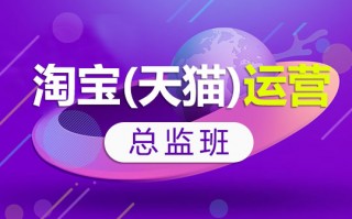 淘宝微店运营总监，淘宝运营总监是谁